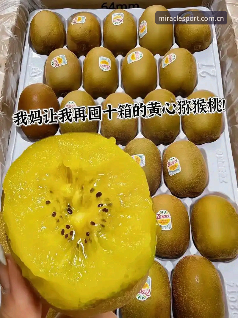 奇异果体育客户端 资深用户分享:奇异果体育客户端使用心得与实战经验
